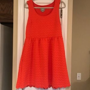 Anthropologie Brand Dress